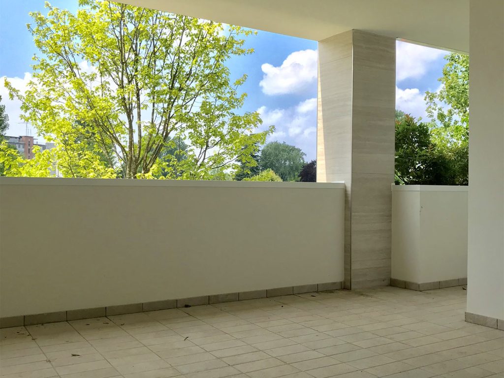 Anamu-REIWAIMG_E4371